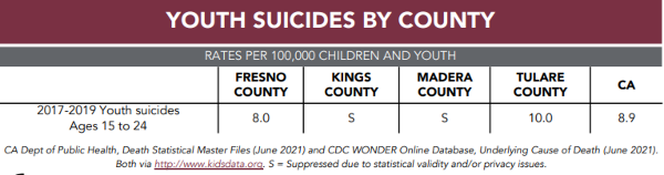 graphic showing youth suicides by county